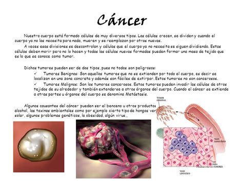 Caracteristicas De Un Cancer