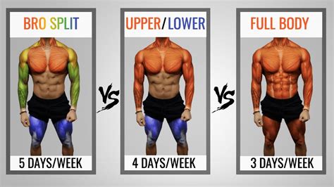 When is your body and nervous system working at peak capacity? The Best Science-Based Workout Split To Maximize Growth ...