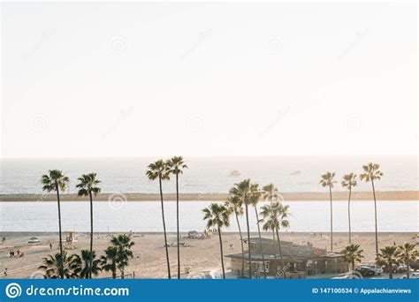 View Of Palm Trees And Beach At Sunset In Corona Del Mar Newport Beach