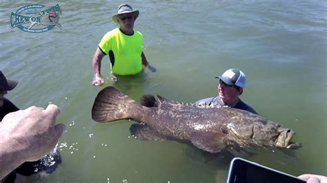 Funny When Big Fish Fight Back How To Get Hook Out Of Huge Fish