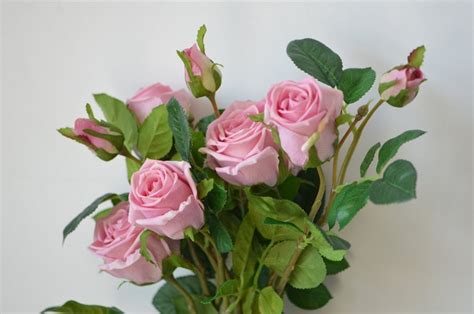 Dusty Pink Roses Real Touch Roses Old English Garden Roses Etsy Canada