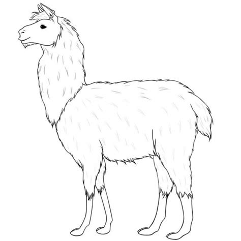 Llama Coloring Pages Smiling Free Printable Coloring Pages