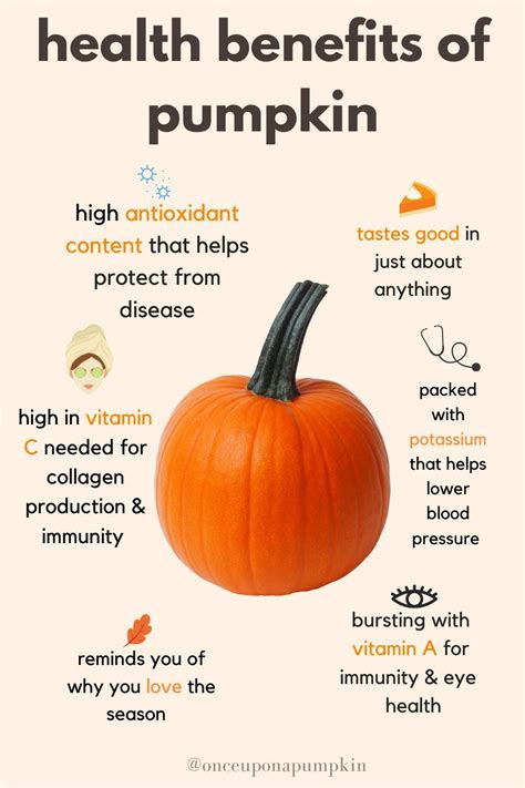 Health Benefits Of Pumpkin Once Upon A Pumpkin Pumpkin Pumpkin