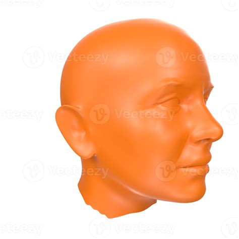 3d Rendering Of Human Bust 18065224 Png