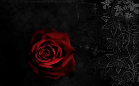 Gothic Roses Wallpapers Top Free Gothic Roses Backgrounds Wallpaperaccess