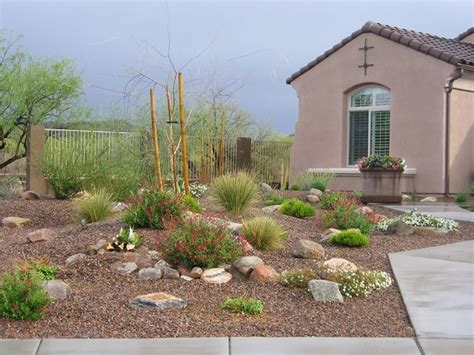 Tucson Landscaping Tiptips For Desert Landscaping Desert Landscaping
