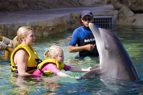 Swim With Dolphins For Non Swimmers And Kids Dolphinaris