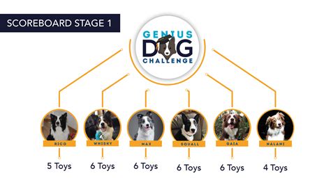 The Challenge Genius Dog Challenge