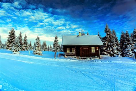Cabin In Winter Forest 4k Ultra Papel De Parede Hd Plano De Fundo