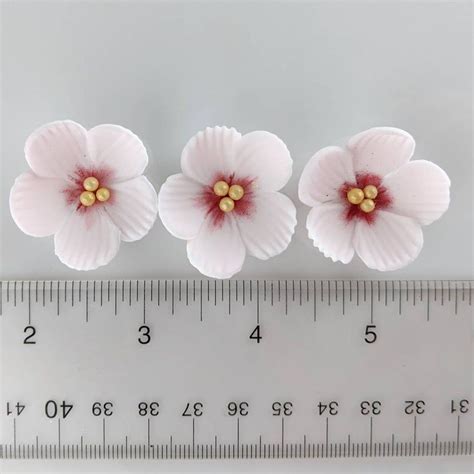 12 Cherry Blossom Sugar Flowers Edible Flowers For Cupcake And Wedding