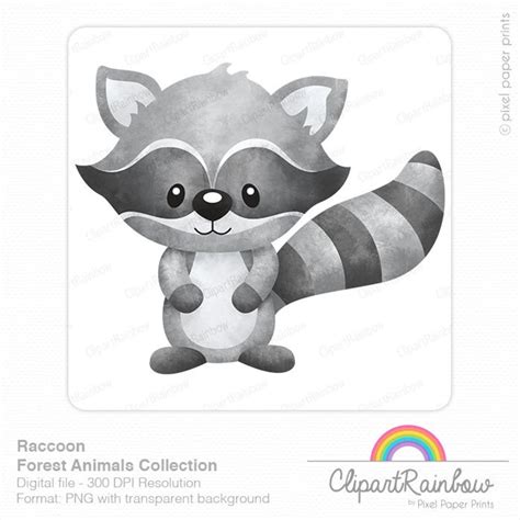 Raccoon Clipart Woodland Animals Clip Art Watercolor Etsy
