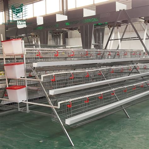 High Quality A Type Layer Chicken Cages Used In Poultry Farm China
