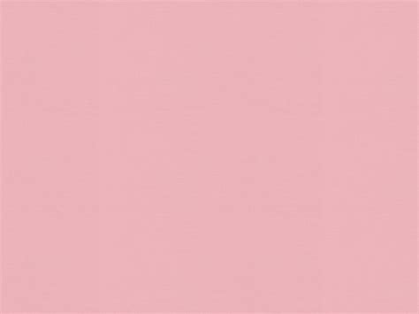 20 Greatest Blush Pink Desktop Wallpaper You Can Save It Without A