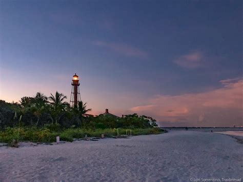 The Famous Beaches Of Sanibel A Locals Guide To The Best Island