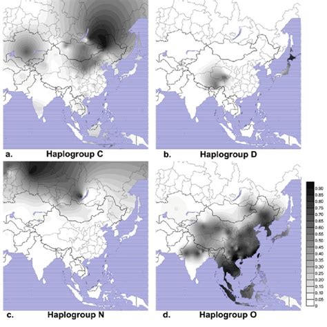 Geographic Distributions Of Y Chromosome Haplogroup C D N And O In Download Scientific