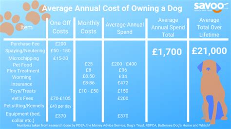 What Is The Average Monthly Cost Of Owning A Dog
