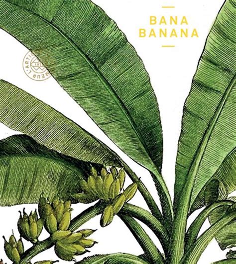 Bana Banana Lartisan Parfumeur Perfume A Fragrance For Women And Men