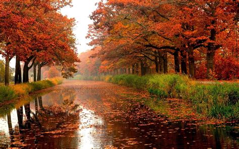 Autumn River Trees Colours Leaves Nature Forests Hd Wallpaper