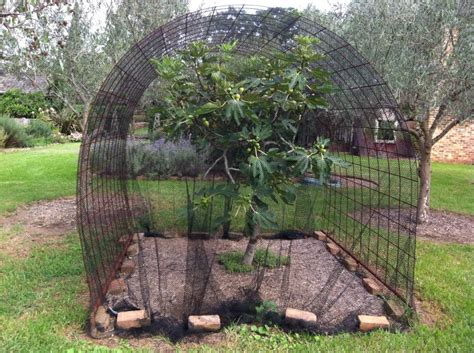 Nets to keep birds away; How to: scare birds
