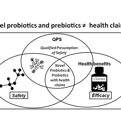 Changes In Intestinal Microbiota During Life Adapted From Isolauri Et