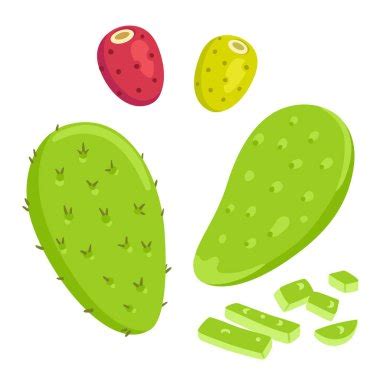 Vector Art Nopal Cactus With Prickly Pears Clipart Drawing My Xxx Hot Girl