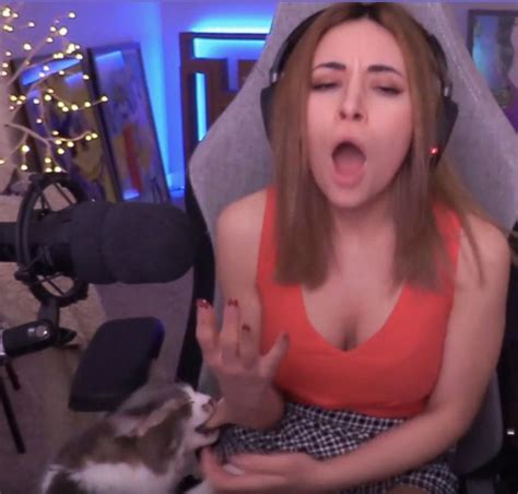 Alinitys Cat Got Its Revenge Pewdiepiesubmissions
