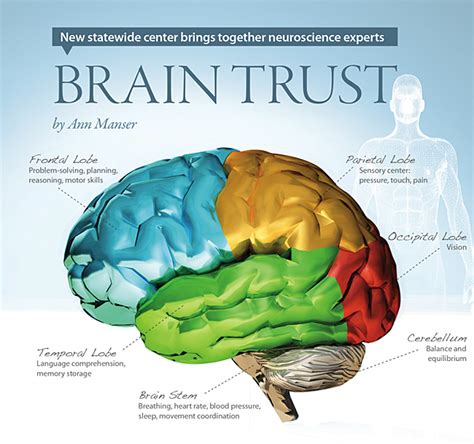 Brain Trust University Of Delaware Research Magazine Vol 4 No 2