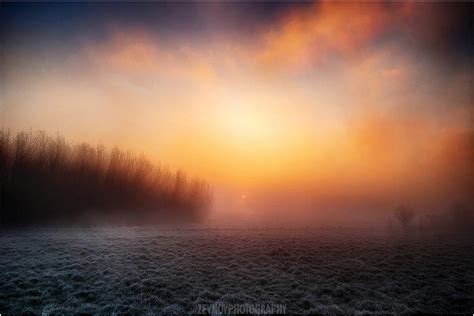 Goodmorning Sunshine By Zevnovphotography On Deviantart