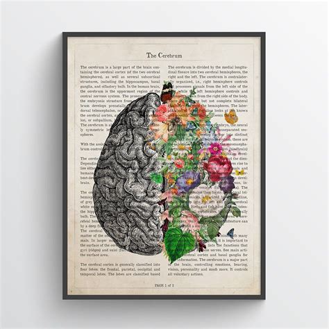 Brain Art Flower Anatomy Print Psychology Neurologist T Etsy