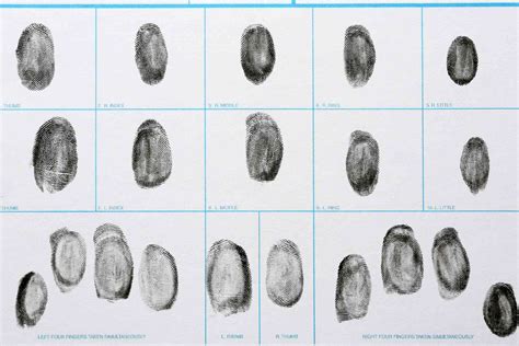 How Did I Get My Own Unique Set Of Fingerprints