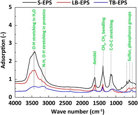 Fourier Transform Infrared Spectroscopy FTIR Spectra Of Fat Download