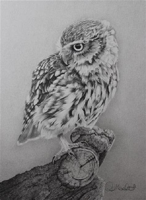 See more ideas about realistic drawings, drawings, pencil drawings. Realistic pencil drawing by Clive Meredith - Art Kaleidoscope