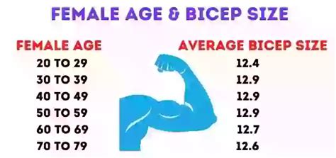 What Is The Best Average Bicep Size By Heightage And Sex