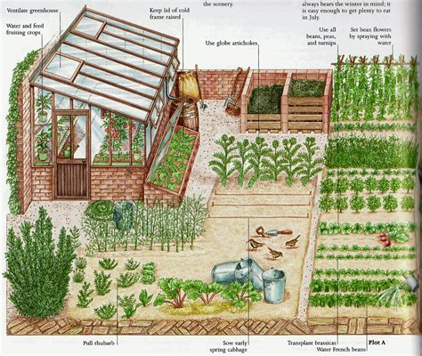 Pin By Debra Blackwell On Garden And Backyard Vegetable Garden Planning
