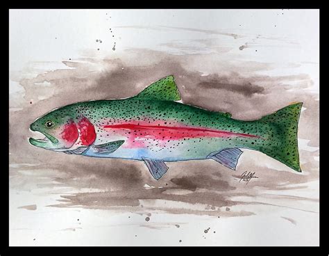 A Year On The Fly Two Rainbow Trout Paintings