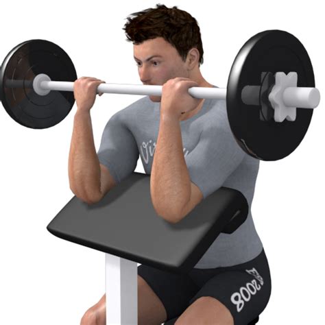 Barbell Preacher Curl Video Exercise Guide