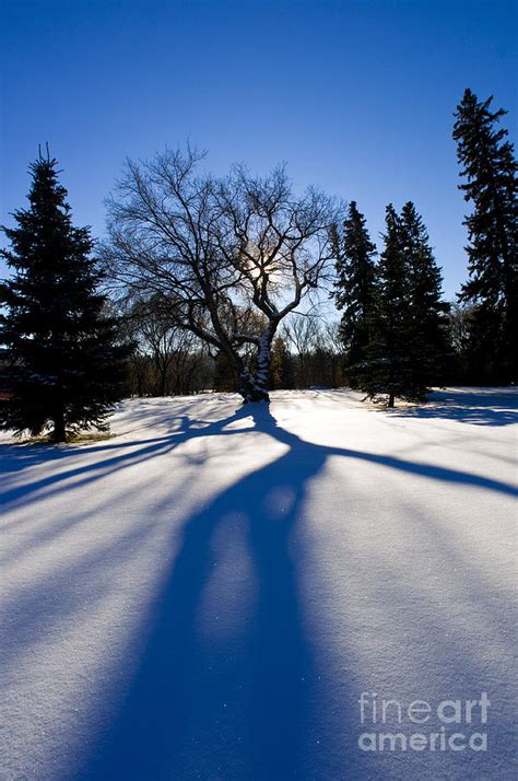 Winter Season 3 Photograph By Terry Elniski Fine Art America