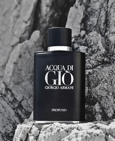 Parfum Acqua Di Gio Giorgio Armani Homecare24