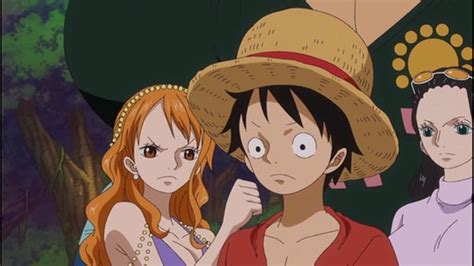 One Piece Mugiwara Luffy Zoro Sanji Ussop Nami Ussop Robin Chopper