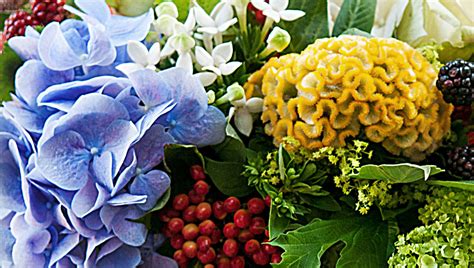 Maybe you would like to learn more about one of these? Strand - Hydrangea Bouquet - Luxury Flowers Delivered ...