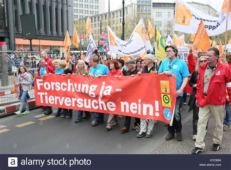 Animal Experiment Cat Stock Photos & Animal Experiment Cat Stock Images