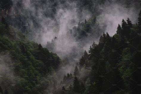 Mountain Forest And Fog Around Nature Stock Photos ~ Creative Market