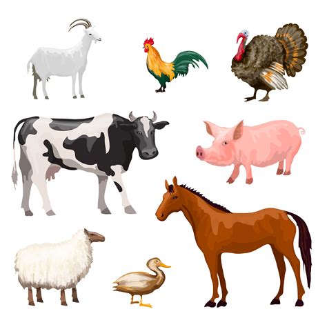 Vector Illustration Different Farm Animals High Resol