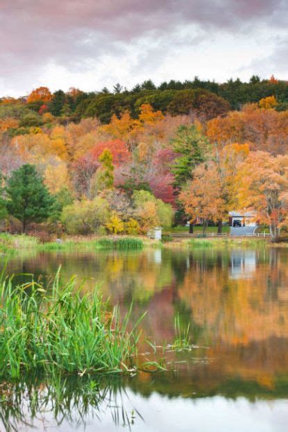 These Small Towns Have The Best Fall Foliage For Leaf Peeping Leaf
