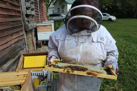 Bee Connection Sticking Landowners And Beekeepers Together Center