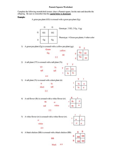 Monohybrid Cross Problems Gizmo Jqwpdqwk Punnett Squares Worksheet Complete The Following