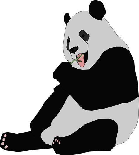 Download Panda Animal Bear Royalty Free Vector Graphic Pixabay
