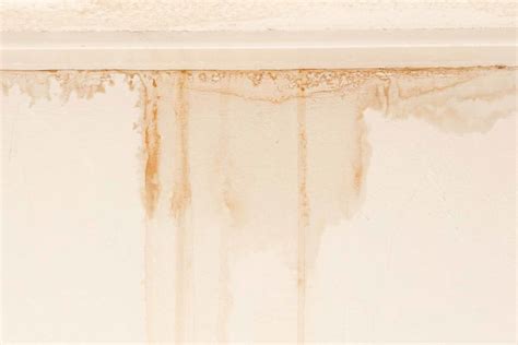 How To Paint Over A Water Stain All You Need To Know Checkatrade