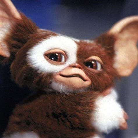 Pin By Lacey On Gizmo Gremlins Gizmo Gremlins Movie Monsters