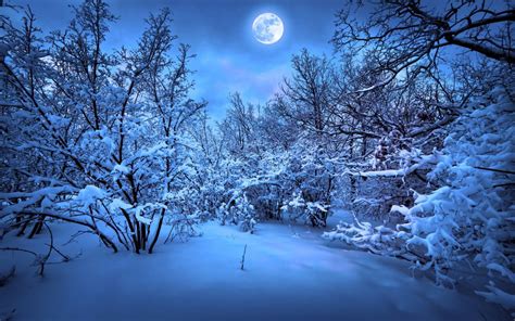 Merry Christmas New Year Magic Winter Snow F Wallpaper 2560x1600